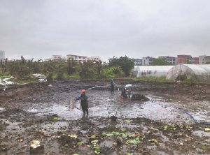 曲周河道鱼塘清淤